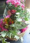 image05101.jpg